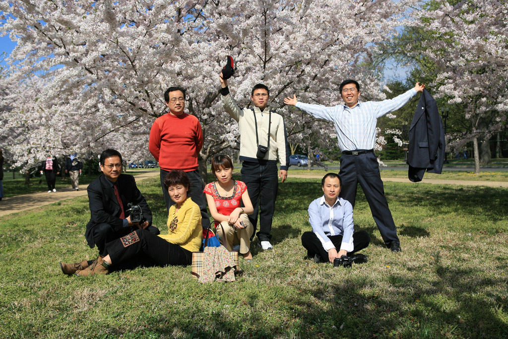 AIDS media_cherryblossoms